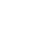 Webinar Icon