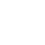 PSI Icon